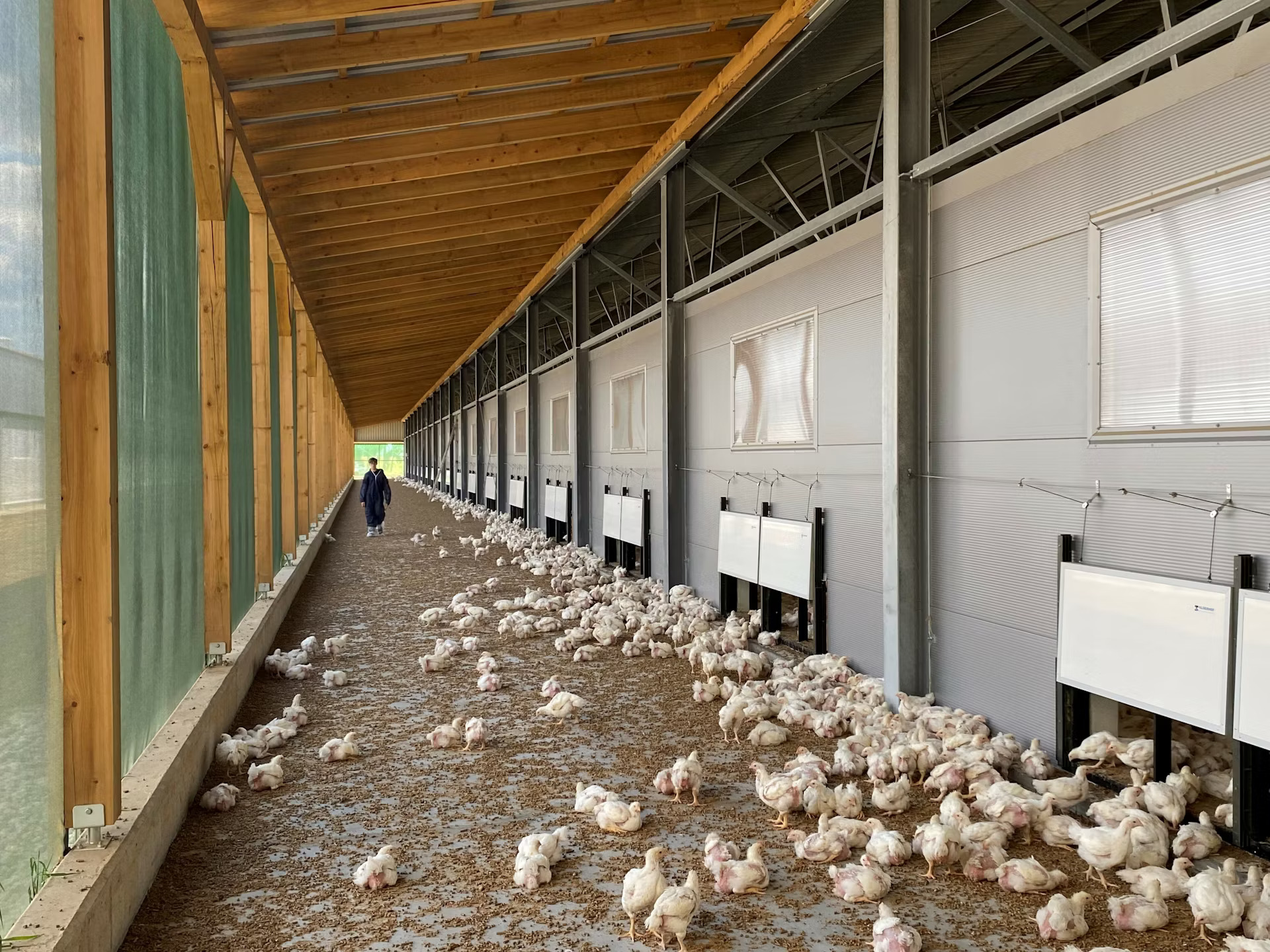 Slovenia-Broiler-Farm-Hotraco-Tulderhof-HotracoLinkedIn60